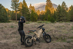 1000W Electric Mountain Bike