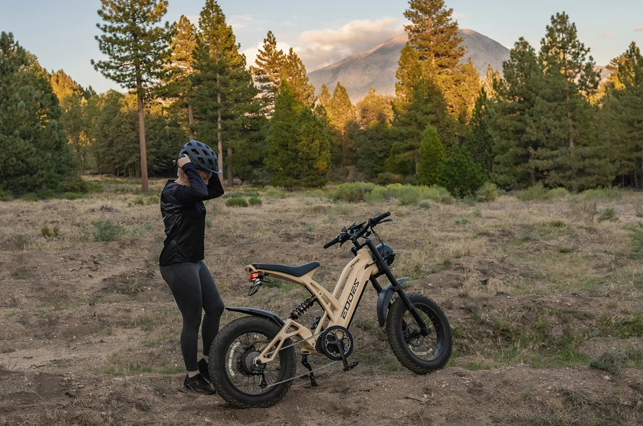 1000W Electric Mountain Bike