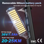 Foldable Electric Scooter