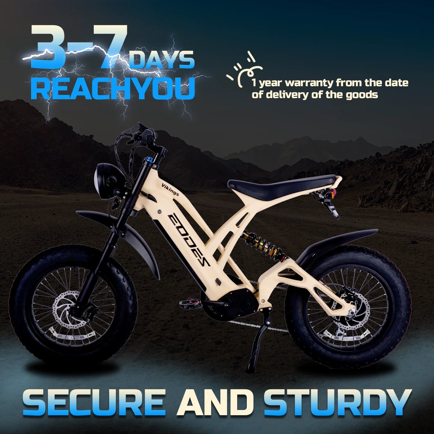 1000W Electric Mountain Bike