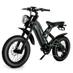 1000W Electric Mountain Bike