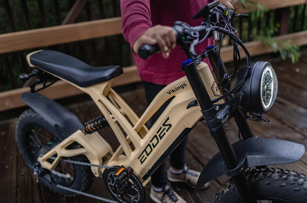 1000W Electric Mountain Bike